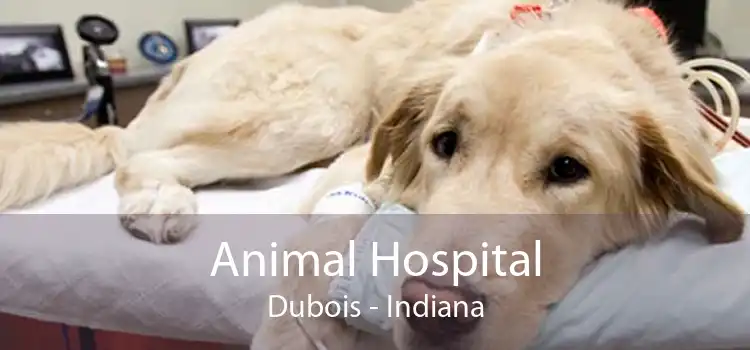 Animal Hospital Dubois - Indiana