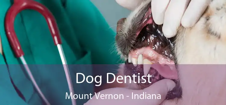 Dog Dentist Mount Vernon - Indiana