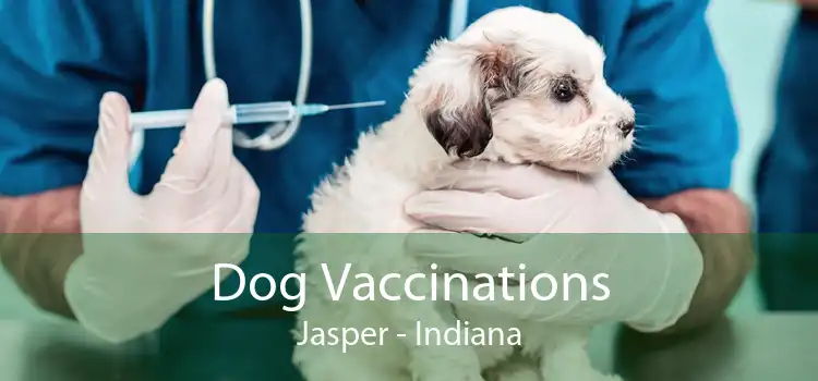 Dog Vaccinations Jasper - Indiana