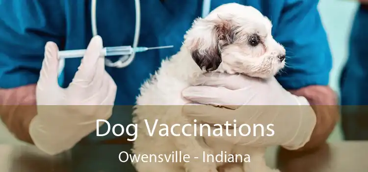 Dog Vaccinations Owensville - Indiana