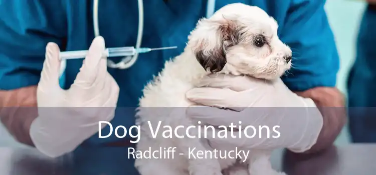 Dog Vaccinations Radcliff - Kentucky