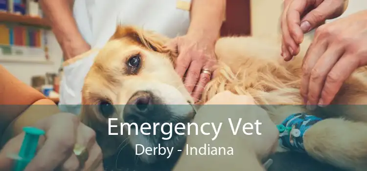 Emergency Vet Derby - Indiana