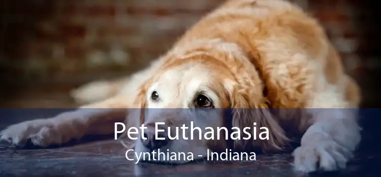 Pet Euthanasia Cynthiana - Indiana