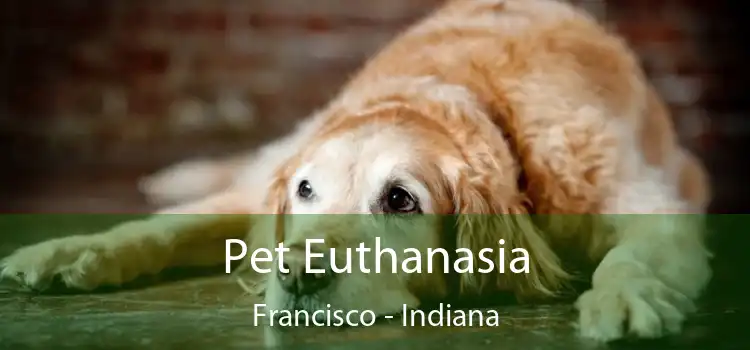 Pet Euthanasia Francisco - Indiana