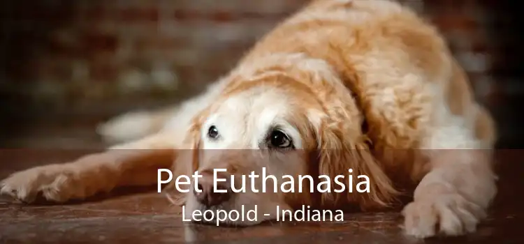 Pet Euthanasia Leopold - Indiana