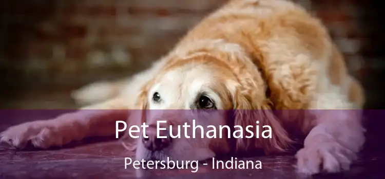 Pet Euthanasia Petersburg - Indiana