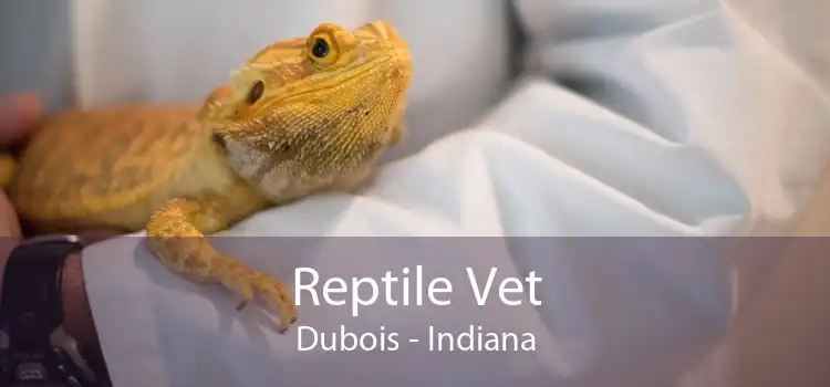 Reptile Vet Dubois - Indiana