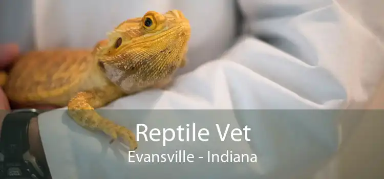 Reptile Vet Evansville - Indiana