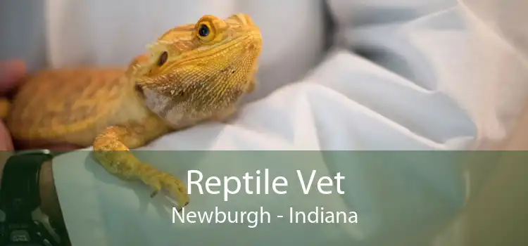 Reptile Vet Newburgh - Indiana
