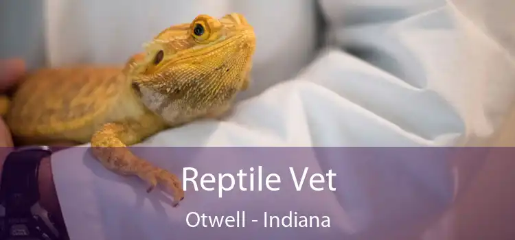 Reptile Vet Otwell - Indiana