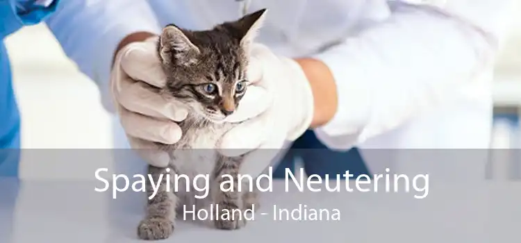Spaying and Neutering Holland - Indiana